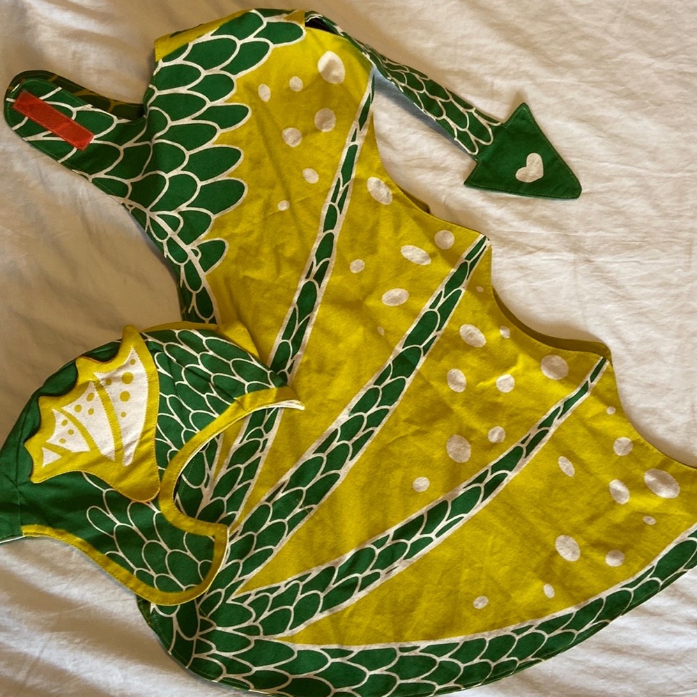 Dragon Costume